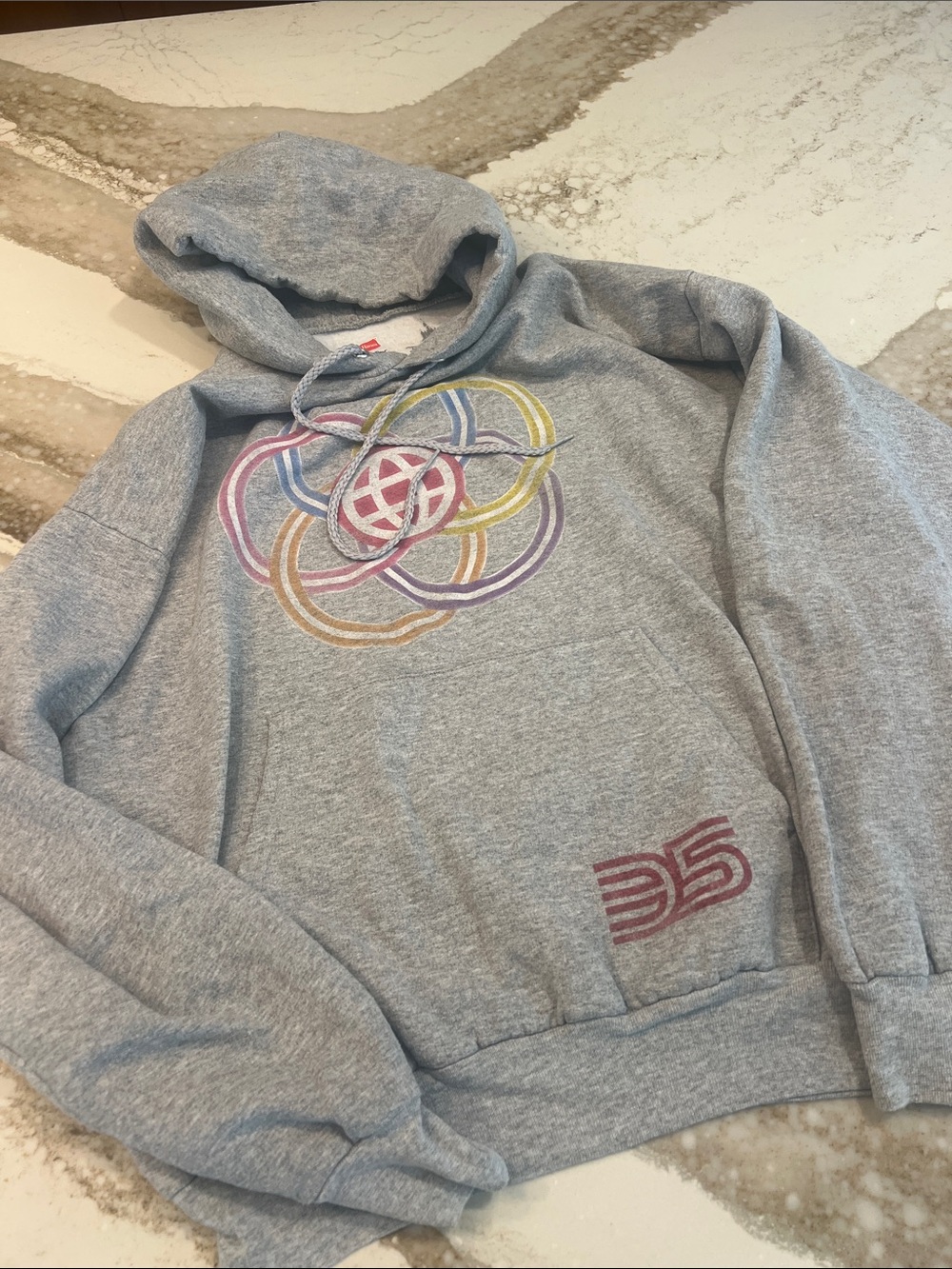 Disney Park Epcot 35th anniversary hoodie
